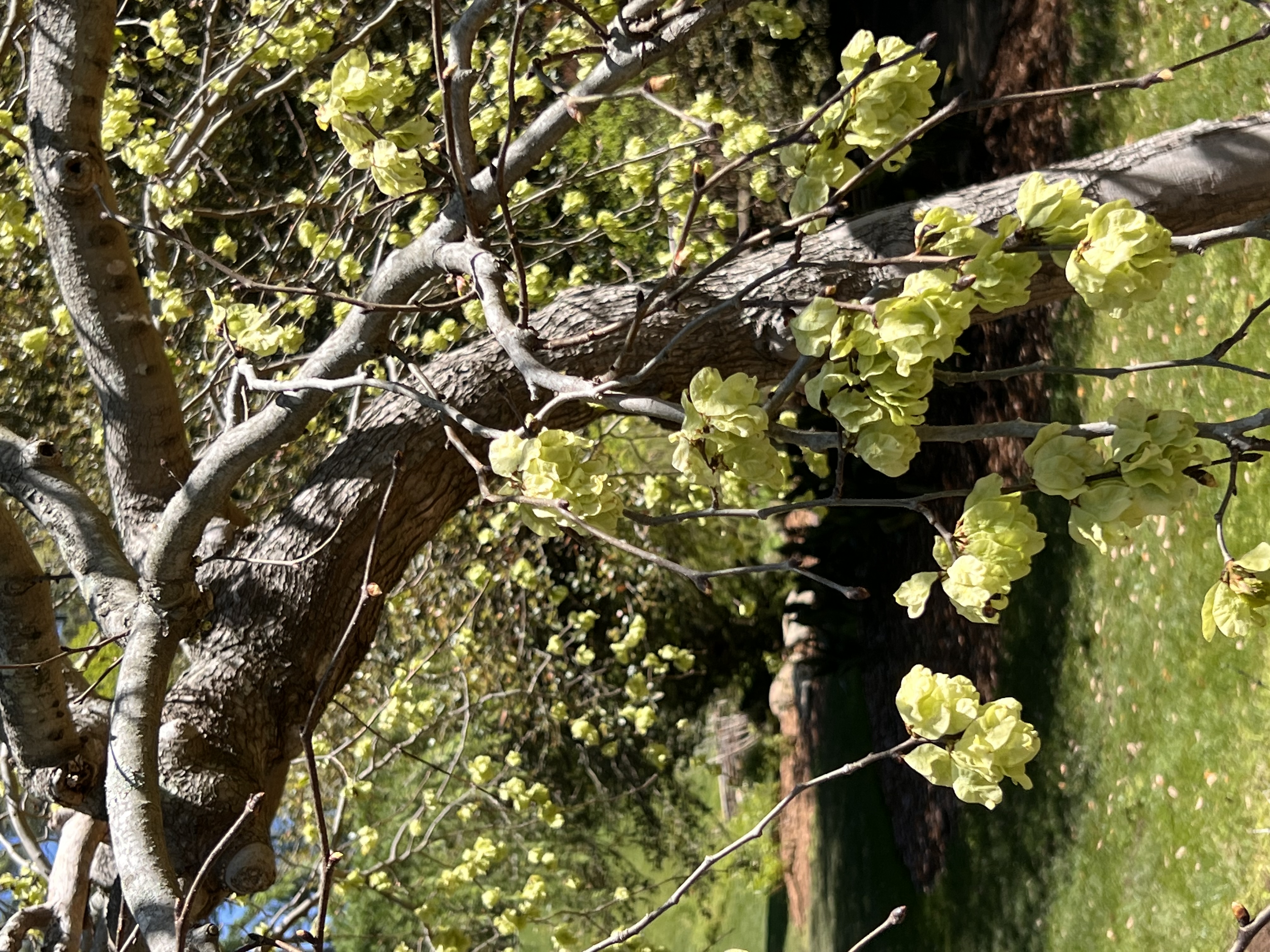 ./2023/05 - Toni Adventures/IMG_3185.JPG